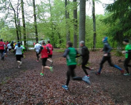 Erfassung von Freizeitaktivitäten im Wald