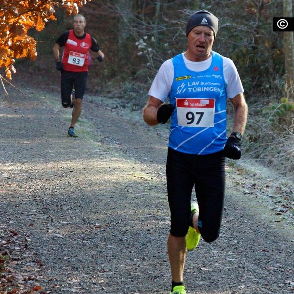 Baden-Württ. Waldlaufmeisterschaften am 17.11.2018 in Neuhengstett